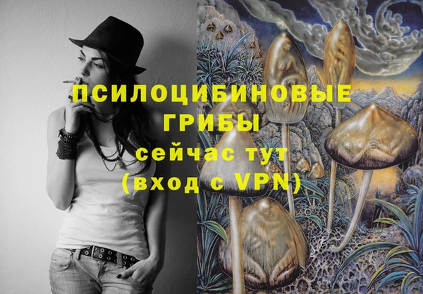 МДПВ Остров