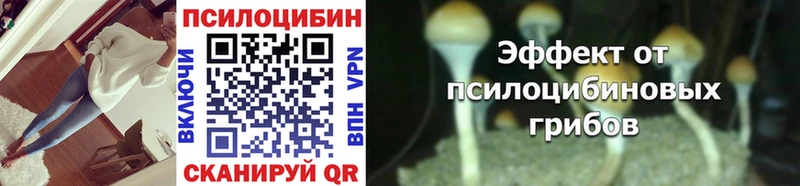 Галлюциногенные грибы MAGIC MUSHROOMS  купить наркотики цена  Дрезна 